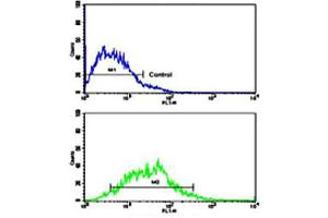 Flow cytometric analysis of MCF-7 cells using CDH13 polyclonal antibody (bottom histogram) compared to a negative control cell (top histogram). (Cadherin 13 antibody  (C-Term))