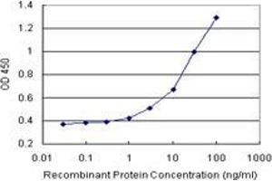 Sandwich ELISA detection sensitivity ranging from 1 ng/mL to 100 ng/mL. (POLR3K (Human) Matched Antibody Pair)