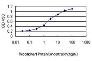 Detection limit for recombinant GST tagged EPHB4 is approximately 0. (EPH Receptor B4 antibody  (AA 198-323))