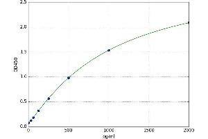 Dihydropyrimidinase-Like 2 (DPYSL2) ELISA Kit
