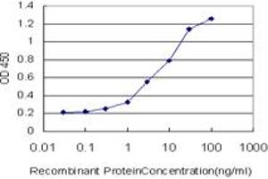 Detection limit for recombinant GST tagged HSPB1 is approximately 0. (HSP27 antibody  (AA 96-205))