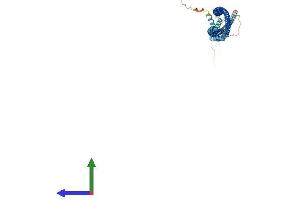 AlphaFold protein structure predicition of Human Recombinant PLVAP Protein, UniprotID Q9BX97