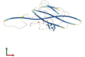 Protein Structure (PS) image for Sperm Antigen with Calponin Homology and Coiled-Coil Domains 1 (SPECC1) (AA 1-1067) protein (His tag) (ABIN7563853)