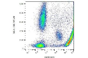 Surface staining of CD36 in human peripheral blood with anti-CD36 (CB38) APC.