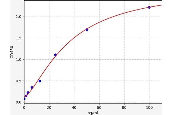 Hepcidin 25 ELISA Kit