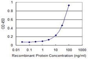 Detection limit for recombinant GST tagged ROR1 is 1 ng/ml as a capture antibody. (ROR1 antibody  (AA 294-393))
