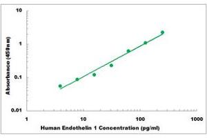 Representative Standard Curve