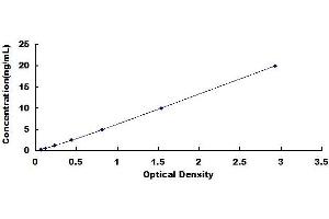 Attractin ELISA Kit