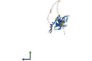 AlphaFold protein structure predicition of Mouse Recombinant Kcnj6 Protein, UniprotID P48542 (KCNJ6 Protein (AA 1-425) (His tag))