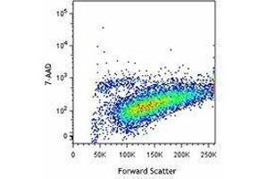 Flow Cytometry (FACS) image for Accutase® Cell Detachment Solution (ABIN2669167) (Accutase® Cell Detachment Solution)