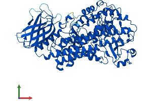 Protein Structure (PS) image for Arachidonate 5-Lipoxygenase (ALOX5) (AA 1-674) protein (His tag) (ABIN7549093)
