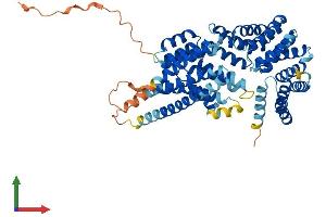 AlphaFold protein structure predicition of Human Recombinant TTC39C Protein, UniprotID Q8N584 (TTC39C Protein (AA 1-583) (His tag))