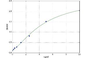 Mitogen-Activated Protein Kinase 1 (MAPK1) ELISA Kit
