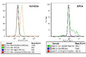 FACS analysis of VEGFR-2/KDR expression in HUVECs (left) and EPCs derived from PBMcs (right) using anti-VEGFR-2 (human), mAb (3(4H3))  at 5μg/ml and a PE goat anti-mouse IgG  at 5μg/ml.