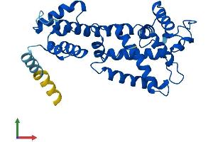 AlphaFold protein structure predicition of Mouse Recombinant Elmod2 Protein, UniprotID Q8BGF6 (ELMOD2 Protein (AA 1-293) (His tag))