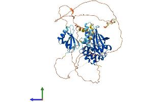 Protein Structure (PS) image for Mitogen-Activated Protein Kinase Kinase Kinase 3 (MAP3K3) (AA 1-626) protein (His tag) (ABIN7549217)