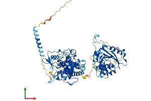 Protein Structure (PS) image for Exostosin 2 (EXT2) (AA 1-718) protein (His tag) (ABIN7556721)
