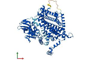 Protein Structure (PS) image for Acyl-CoA Oxidase 1, Palmitoyl (ACOX1) (AA 1-661) protein (His tag) (ABIN7556185)