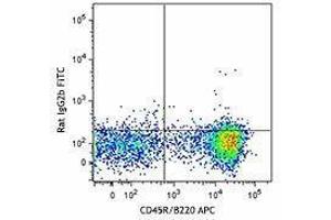 Flow Cytometry (FACS) image for anti-Chemokine (C-X-C Motif) Receptor 5 (CXCR5) antibody (FITC) (ABIN2661368) (CXCR5 antibody  (FITC))