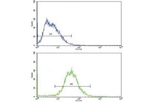 Flow cytometric analysis of HepG2 cells using ALDH1A1 antibody (green) compared to a negative control (blue). (ALDH1A1 antibody  (AA 302-331))