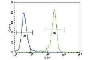 DDR1 antibody flow cytometric analysis of 293 cells (right histogram) (DDR1 antibody  (AA 299-330))