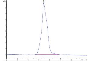 The purity of Mouse CDH3 is greater than 95 % as determined by SEC-HPLC. (P-Cadherin Protein (CDH3) (AA 100-647) (His tag))