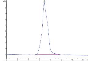 The purity of Mouse CDH3 is greater than 95 % as determined by SEC-HPLC.