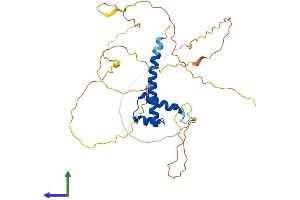 AlphaFold protein structure predicition of Mouse Recombinant Hoxd10 Protein, UniprotID P28359 (HOXD10 Protein (AA 1-340) (His tag))