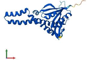 AlphaFold protein structure predicition of Human Recombinant NAT8 Protein, UniprotID Q9UHE5 (NAT8 Protein (AA 1-227) (His tag))