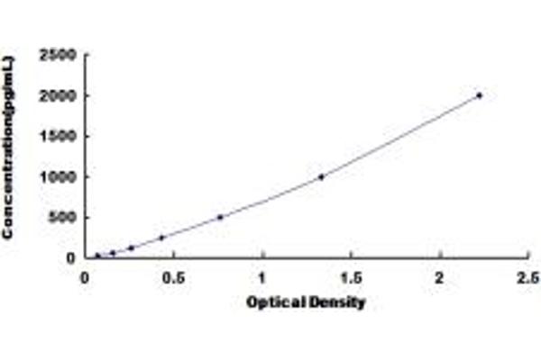 CER1 ELISA Kit
