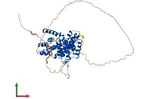 AlphaFold protein structure predicition of Human Recombinant TBC1D10A Protein, UniprotID Q9BXI6