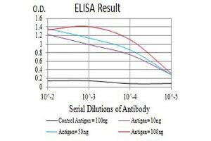 Black line: Control Antigen (100 ng),Purple line: Antigen (10 ng), Blue line: Antigen (50 ng), Red line:Antigen (100 ng) (CD3G antibody  (AA 23-116))