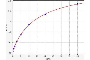 Typical standard curve (Kallikrein 8 ELISA Kit)