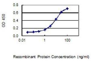 Detection limit for recombinant GST tagged IQCF1 is 0. (IQCF1 antibody  (AA 1-205))