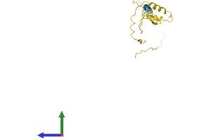 Protein Structure (PS) image for Neuron-Specific Protein Family Member 2 (HMP19) (AA 1-171) protein (His tag) (ABIN7549874)