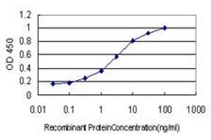 Detection limit for recombinant GST tagged CHTF18 is approximately 0.