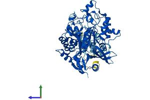 Protein Structure (PS) image for Elongator complex protein 3 (ELP3) (AA 1-547) protein (His tag) (ABIN7564968)
