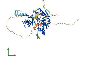 Protein Structure (PS) image for Phosphatidylinositol 4-Kinase Type 2 beta (PI4K2B) (AA 1-469) protein (His tag) (ABIN7559235)