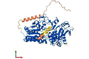 AlphaFold protein structure predicition of Human Recombinant B3GLCT Protein, UniprotID Q6Y288