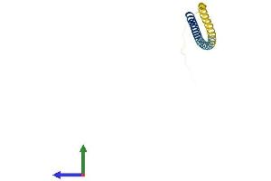 AlphaFold protein structure predicition of Human Recombinant VAMP1 Protein, UniprotID P23763
