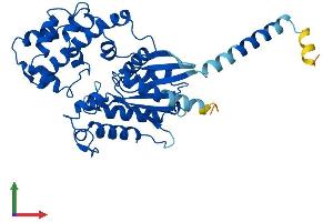 AlphaFold protein structure predicition of Human Recombinant GNAQ Protein, UniprotID P50148 (GNAQ Protein (AA 1-359) (His tag))