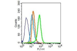 Hela cells probed with MDR1 Polyclonal Antibody, Unconjugated  for 30 minutes followed by incubation with a conjugated secondary (FITC) (green) for 30 minutes compared to control cells (blue), secondary only (light blue) and isotype control (orange). (ATP-Binding Cassette, Sub-Family B (MDR/TAP), Member 1B (ABCB1B) (AA 21-100) antibody)