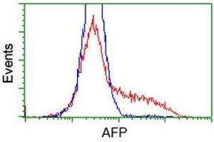 HEK293T cells transfected with either RC206622 overexpress plasmid (Red) or empty vector control plasmid (Blue) were immunostained by anti-AFP antibody (ABIN2452710), and then analyzed by flow cytometry. (alpha Fetoprotein antibody)
