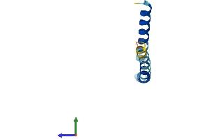 AlphaFold protein structure predicition of Mouse Recombinant Sptssb Protein, UniprotID Q925E8