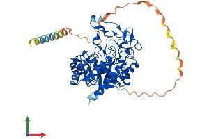 AlphaFold protein structure predicition of Mouse Recombinant Maneal Protein, UniprotID Q6P1J0 (MANEAL Protein (AA 1-452) (His tag))