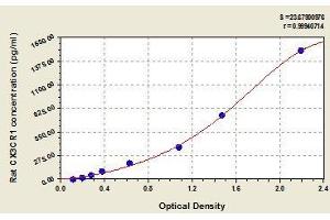 Typical standard curve (CX3CR1 ELISA Kit)