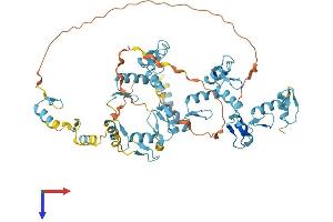 REPIN1 Protein (AA 1-567) (His tag)