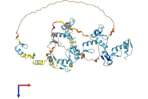 REPIN1 Protein (AA 1-567) (His tag)