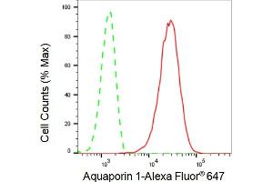 Flow cytometric analysis of Aquaporin 1 expression in C2C12 cells using Aquaporin 1 antibody (ABIN7797637), 1:2,000). (Recombinant Aquaporin 1 antibody)