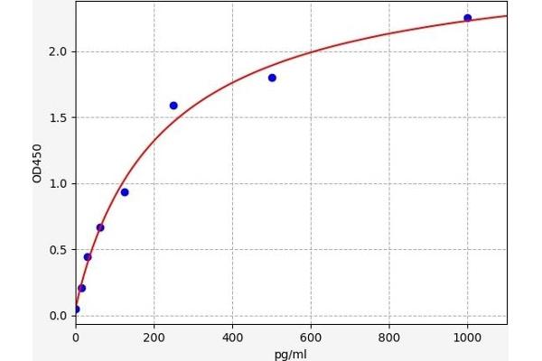 PHF6 ELISA Kit